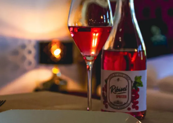 Hotel Luxurious Castle Retreat In Austria Innviertler Versailles With Nearby Spas Aurolzmunster