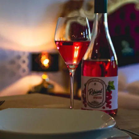 Hotel Luxurious Castle Retreat In Austria Innviertler Versailles With Nearby Spas Aurolzmunster